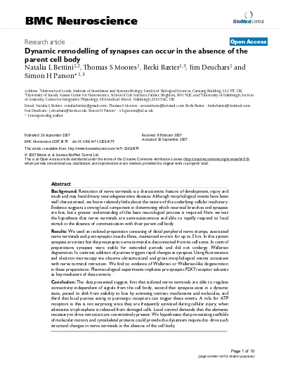 Top PDF Musculocutaneous And Median Nerve Connections Within Proximal