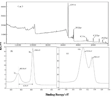 Electrochemical Investigation Of Phenol Oxidation By A Tio2 Gac Based Packed Bed Electrode Reactor