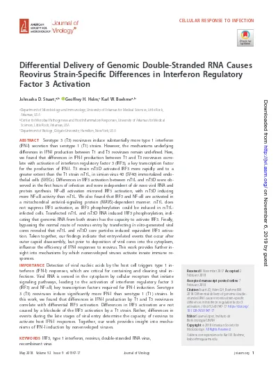 Differential Delivery Of Genomic Double Stranded Rna Causes Reovirus Strain Specific Differences In Interferon Regulatory Factor 3 Activation