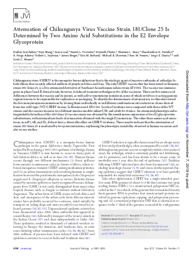 Attenuation Of Chikungunya Virus Vaccine Strain 181 Clone 25 Is Determined By Two Amino Acid Substitutions In The E2 Envelope Glycoprotein