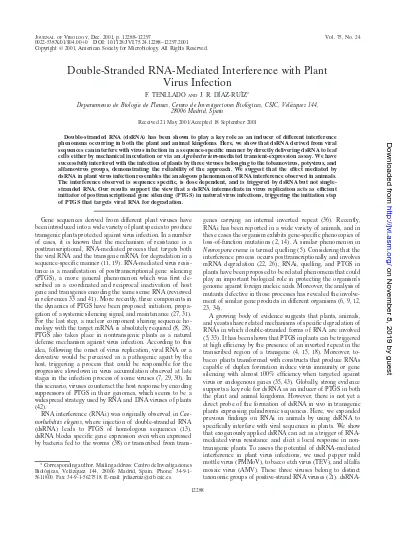 Double Stranded Rna Mediated Interference With Plant Virus Infection