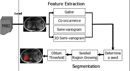 Texture Feature Based Automated Seeded Region Growing In Abdominal Mri Segmentation