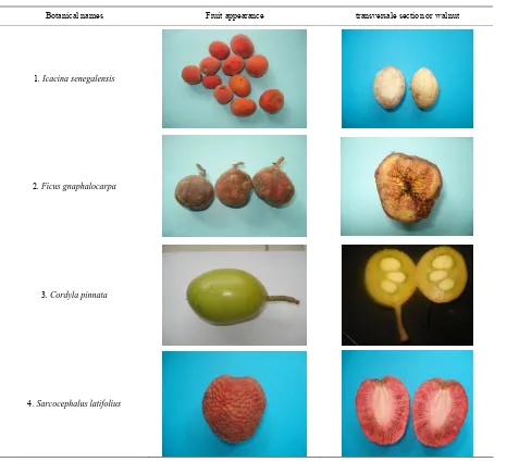 Nutritional Contribution Of Some Senegalese Forest Fruits Running Across Soudano Sahelian Zone