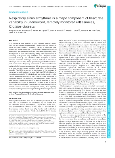 Top Pdf Arrhythmia Sinus 1library