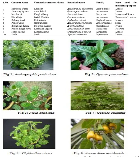 TEN COMMONLY AVAILABLE MEDICINAL PLANTS IN MALAYSIA USED FOR THE 